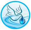 Drainage Pumps